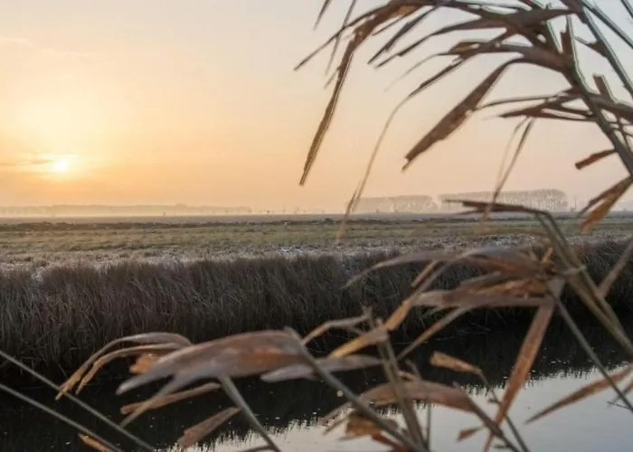 아파트 Ferienwohnung-in-luebesse *